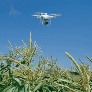 Drone de Análise da Saúde da Vegetação